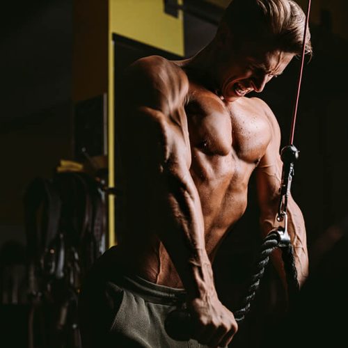 fitness-bodybuilder-works-out-pushing-up-excercise-WB5BW9E.jpg fitness-bodybuilder-works-out-pushing-up-excercise-WB5BW9E.jpg
