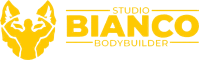 logo_studio
